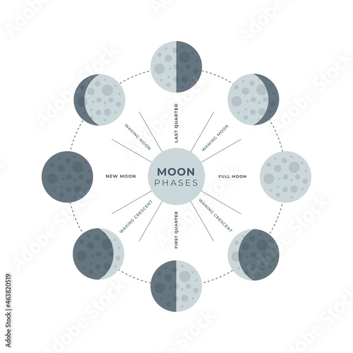 Image of the phases of the moon isolated on a white background. Full moon, new moon, waning moon, waxing moon. Vector stock illustration.