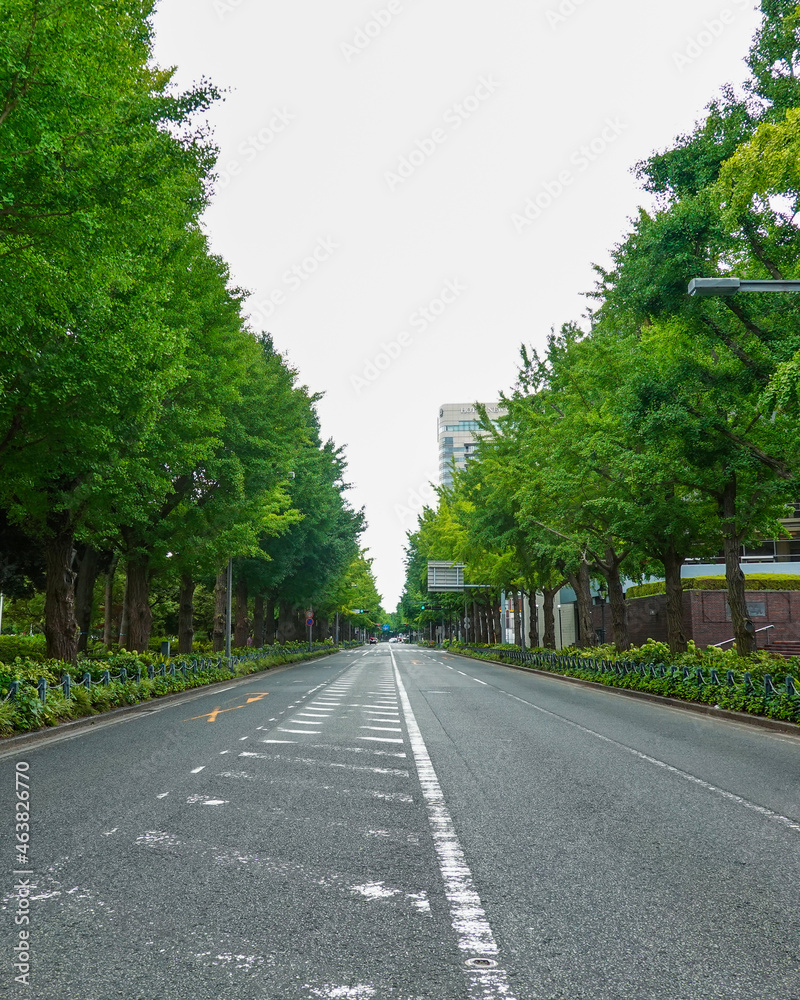 閑散とした山下公園通り　横浜の風景（神奈川県横浜市）