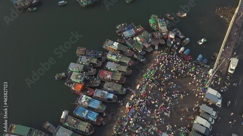 Aerial panorama of small harbor village on ocean water with fishing and tourist boats against clear sky and high hills Ha Long Vietnam