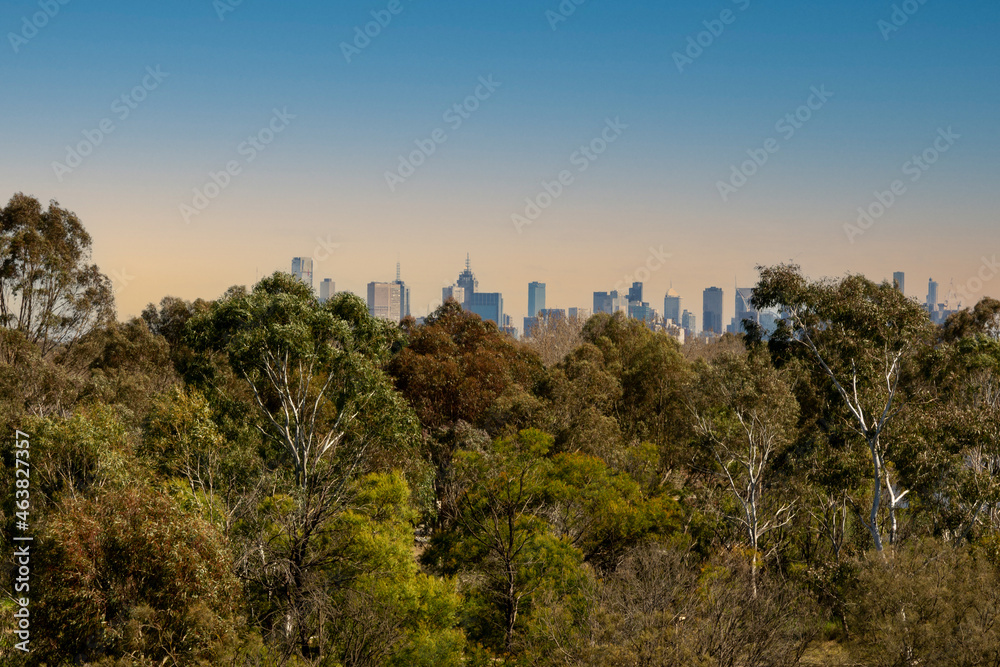 Melbourne CBD towers in the distance, behind bush and trees, during the start of a sunset