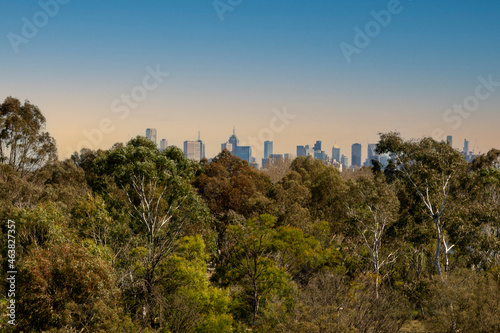 Melbourne CBD towers in the distance, behind bush and trees, during the start of a sunset