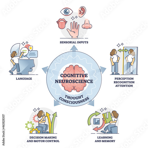 Cognitive neuroscience and thought consciousness processes, outline diagram. Sensory input, language, decision making and motor control, learning and memory, self perception, recognition and attention