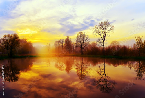 foggy mystical sunrise on the shore of the lake. smooth surface of the pond in the fog and the reflection of trees. Calm relaxing landscape.