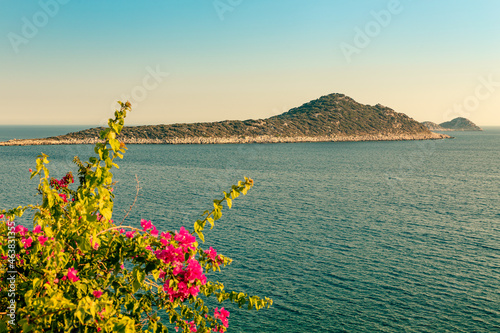 Mountain island in the waters of the Mediterranean Sea with a beautiful bush of pink flowers in the foreground photo