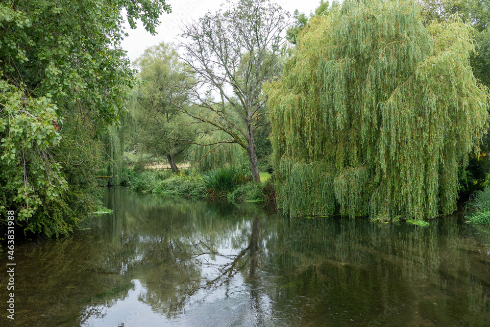 view of the River Avon at Salisbury Wiltshire England