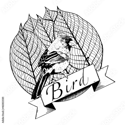 Black and white logo with a bird.