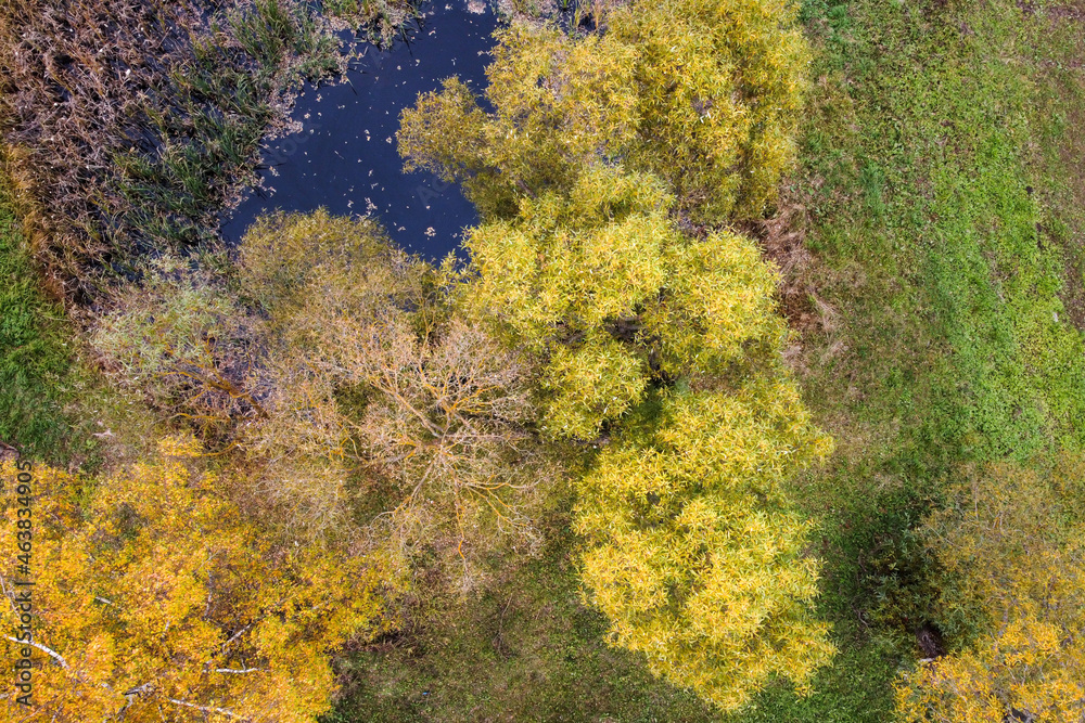 Aerial view of autumn pond with top trees yellow foliage in park Aerial view of autumn pond with top trees yellow foliage in park