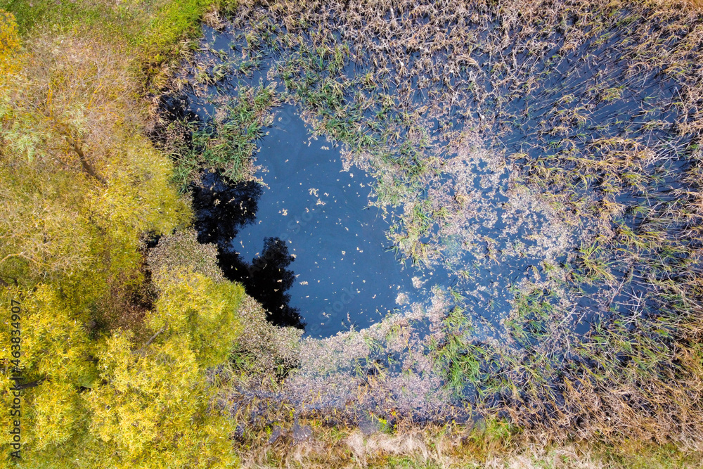 Aerial view of autumn pond with top trees yellow foliage in park