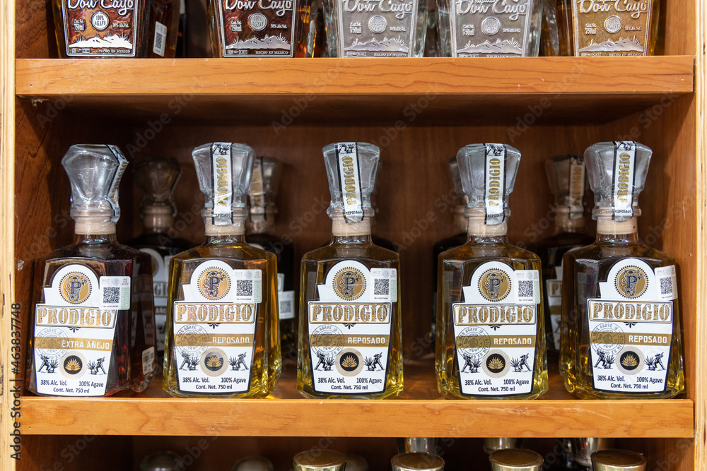 'Prodigio' traditional Mexican tequila in a gift shop shelf, Mexico Stock Photo Adobe Stock