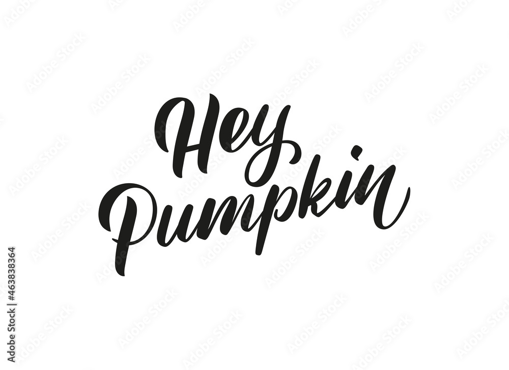 Hey pumpkin calligraphic text. Autumn handwritten lettering illustration. Brush calligraphy style. Black inscription 