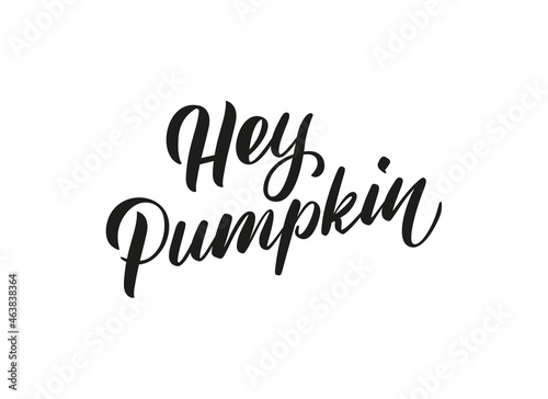 Hey pumpkin calligraphic text. Autumn handwritten lettering illustration. Brush calligraphy style. Black inscription 