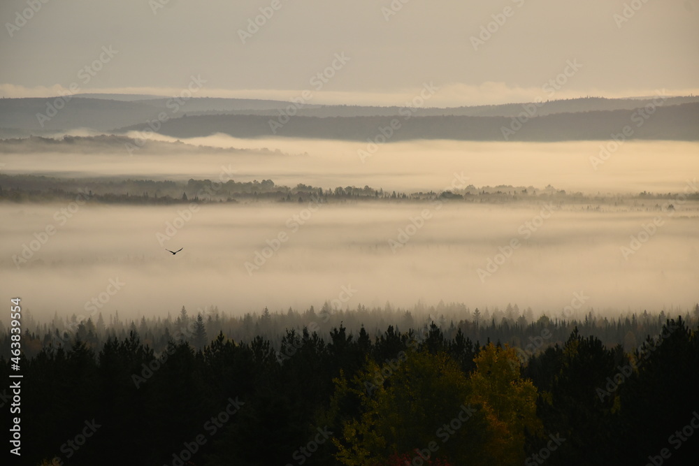 A fog on an autumn morning, Sainte-Apolline, Québec, Canada