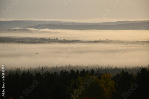 A fog on an autumn morning, Sainte-Apolline, Québec, Canada