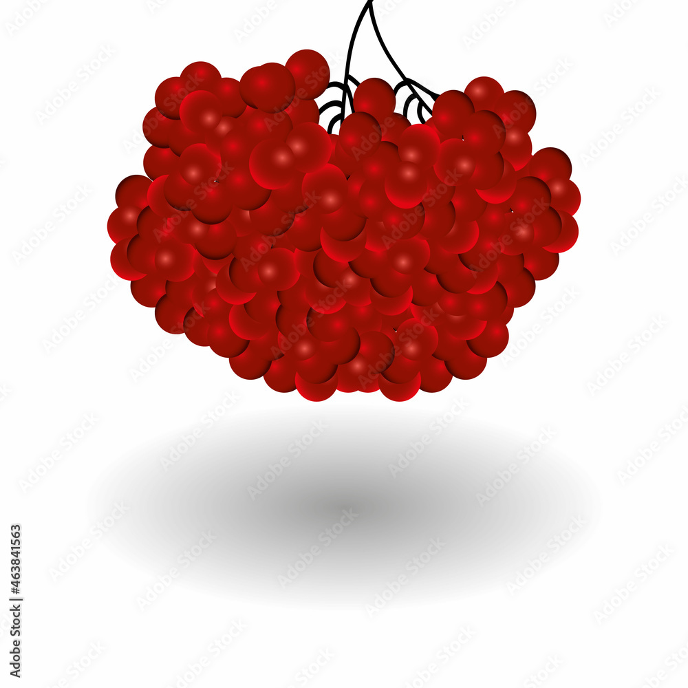 Red viburnum. Ripe viburnum berries. Vector illustration Stock Vector