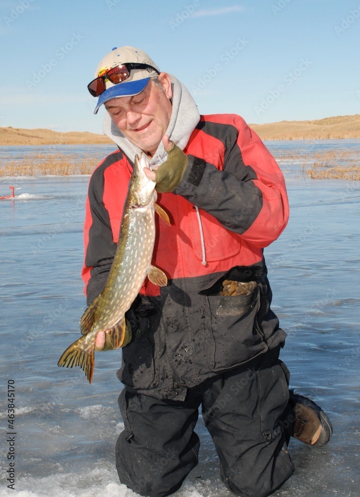 Ice-angler with a northern pike Ice-angler with a northern pike