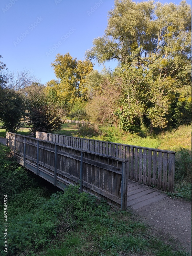 Un pont permettant de traverser un ruisseau ou lac, terrain couvert de moitié ombre et soleil, avec des arbres colorés jaune et vert, pont artisanale et ancien, en bois, avec beaucoup de verdure