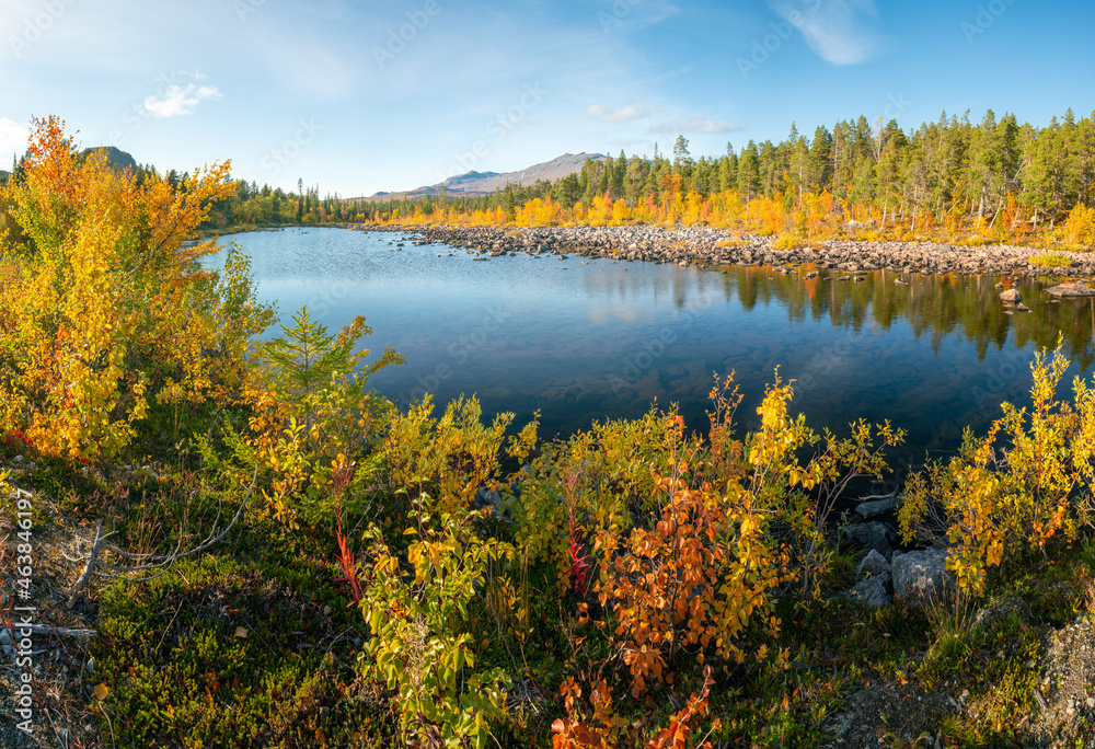 Beautiful, vivid autumn colors in remote arctic landscape. Wild nature of Stora Sjofallet national park, Sweden. Remote wilderness on sunny autumn day. Yellow and orange colors in nature.