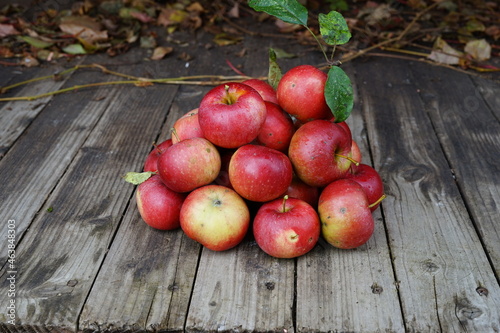  harvest of red apples in a basket