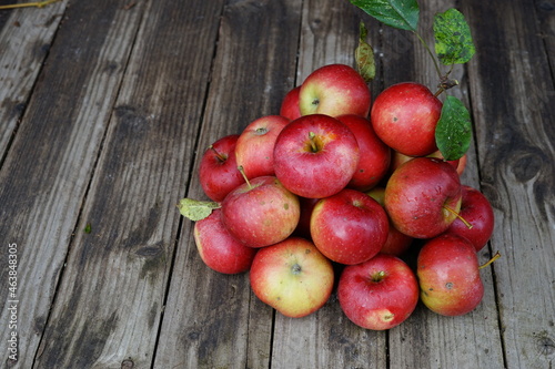  harvest of red apples in a basket