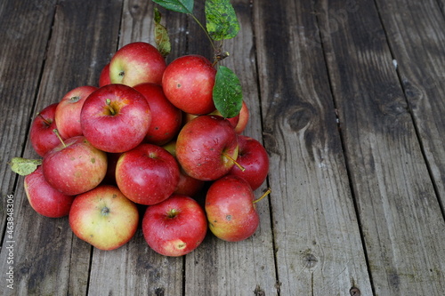  harvest of red apples in a basket