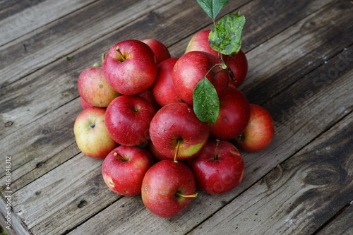  harvest of red apples in a basket