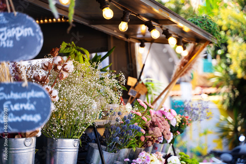 Street market stall full of pots with glowers and plants