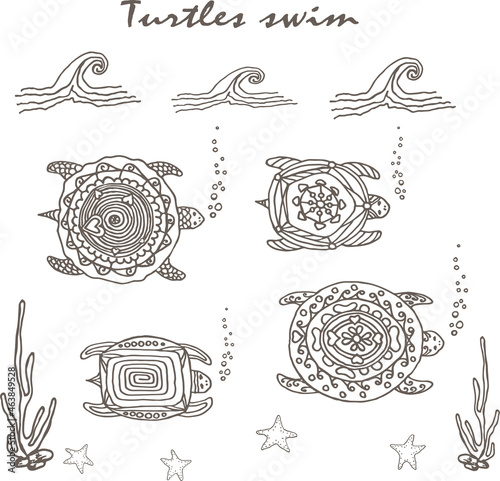 Decorative colored turtles, Marine ornament