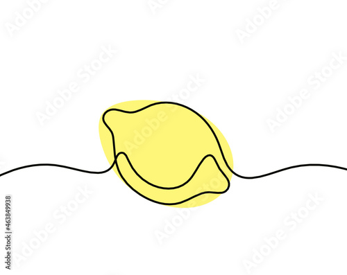 Color drawing line lemon on the white background. Vector