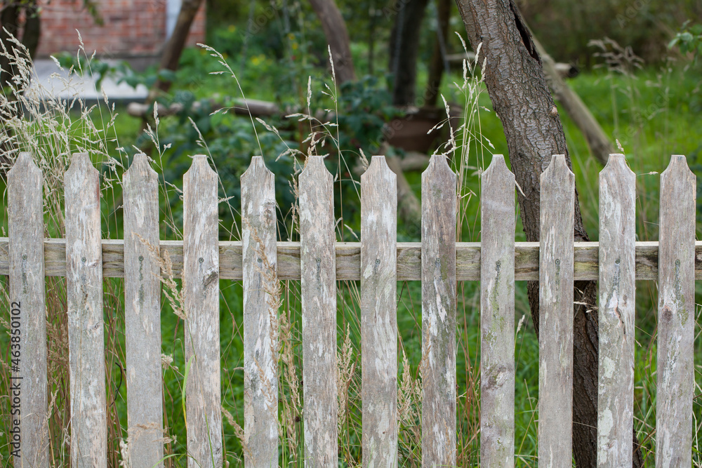 An old wooden fence enclosing a rural backyard. An old wooden fence enclosing a rural backyard.