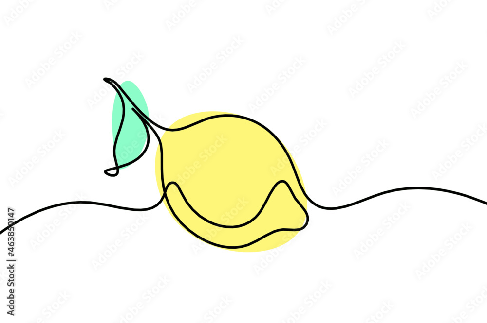 Color drawing line lemon on the white background. Vector