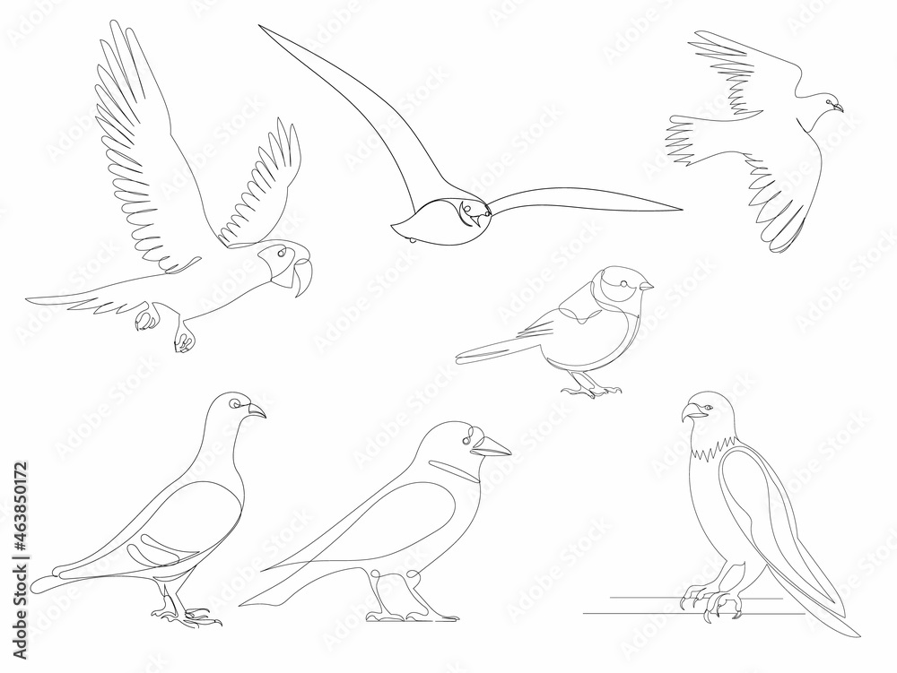 birds set drawing by one continuous line, vector