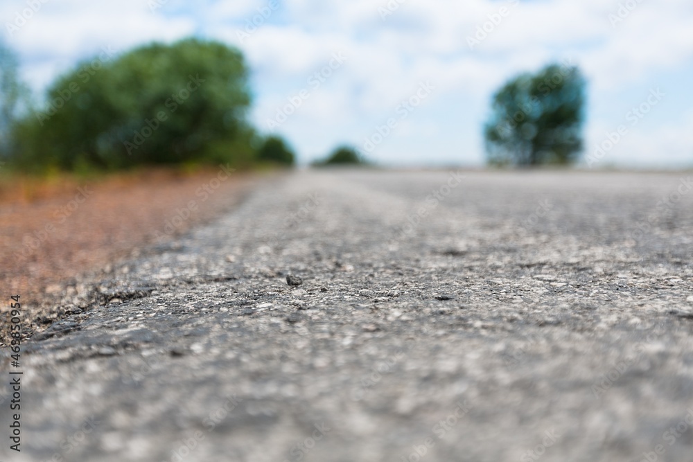 Summer green rural nature landscape with road Summer green rural nature landscape with road