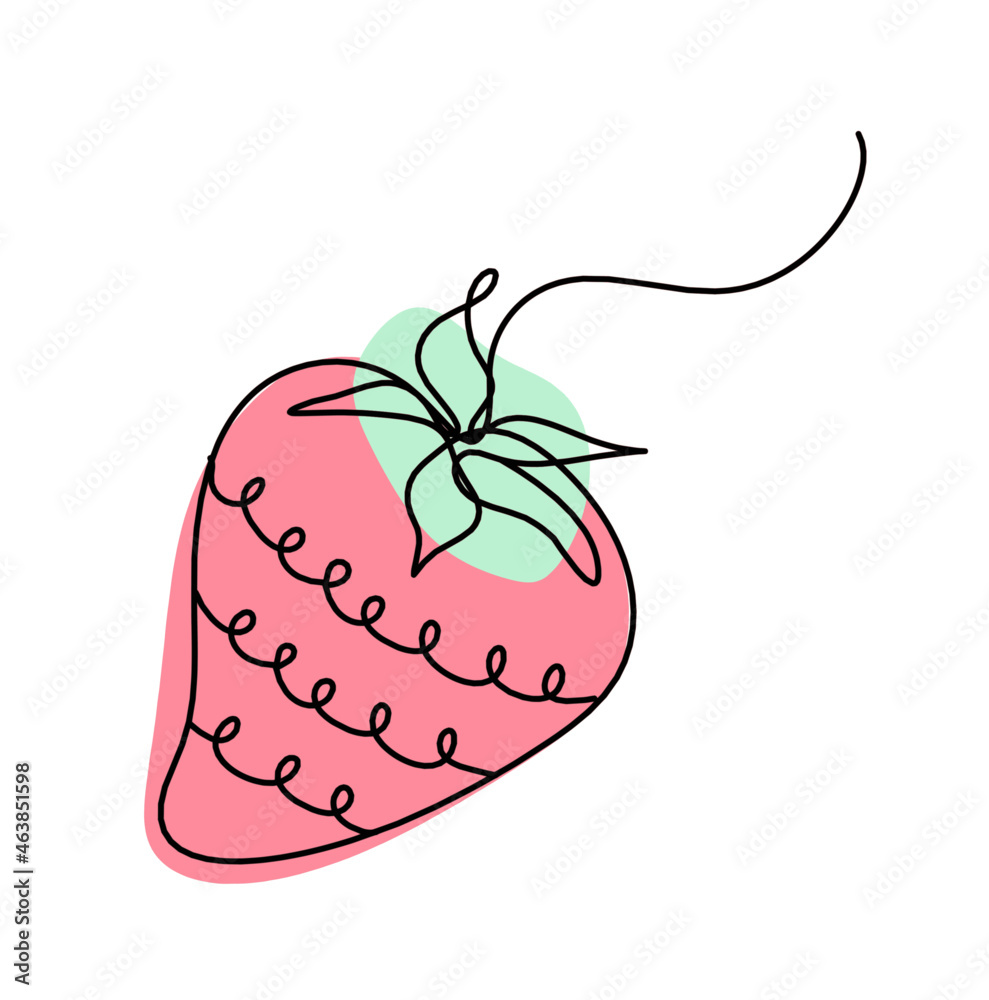 Fototapeta premium Drawing line of color strawberry on the white background. Vector
