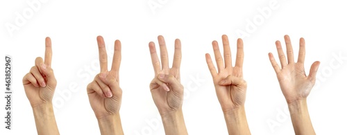 Set of hands showing numbers one to five isolated on white background.