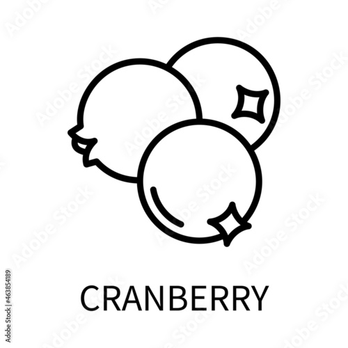Line Icon Cranberry In Simple Style. Vector sign in a simple style isolated on a white background. Original size 64x64 pixels.