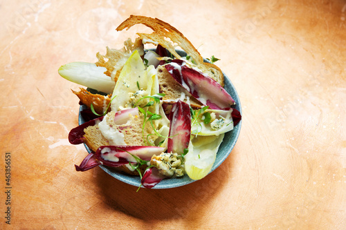 Chicory and treviso salad with toasted bread photo