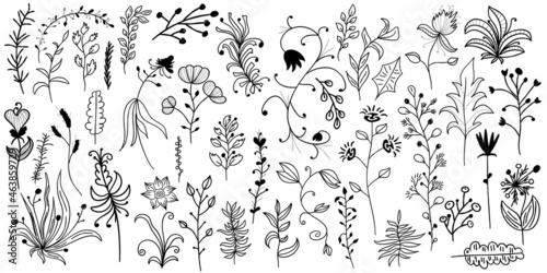HandDrawn flowers, leaves isolated on white background.Abstract lines, flowers with leaves and curls for decor, ornaments. Black silhouettes. Vector illustration line art.
