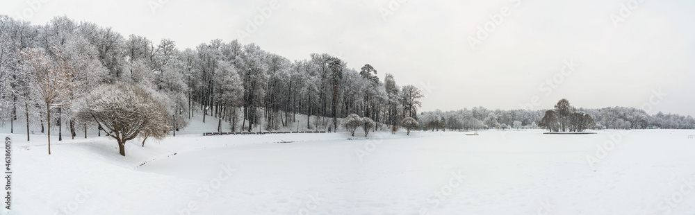 Winter view of a snow-covered pond and trees around