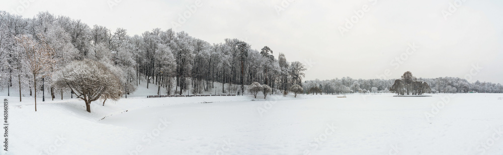 Winter view of a snow-covered pond and trees around Winter view of a snow-covered pond and trees around
