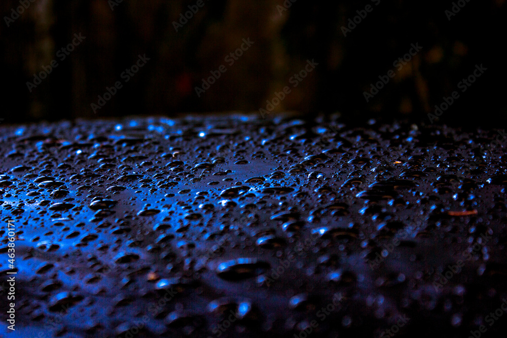 Obraz premium raindrops