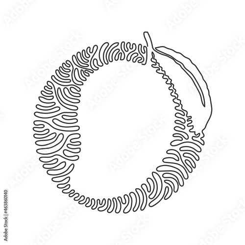 Single continuous line drawing healthy organic mango for orchard logo identity. Fresh tropical fruitage concept for fruit garden icon. Swirl curl circle background style. One line draw design vector