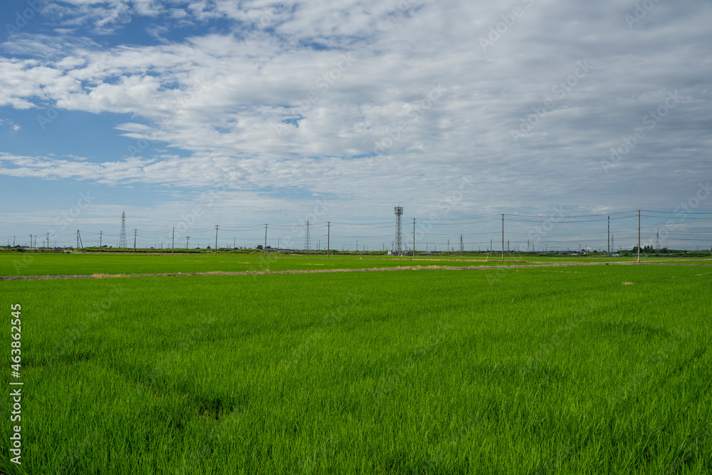ずっと奥まで続く田園