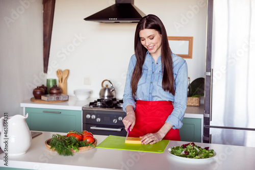 Portrait of attractive cheerful focused girl chopping cheese cooking tasty homemade meal snack at home kitchen indoors