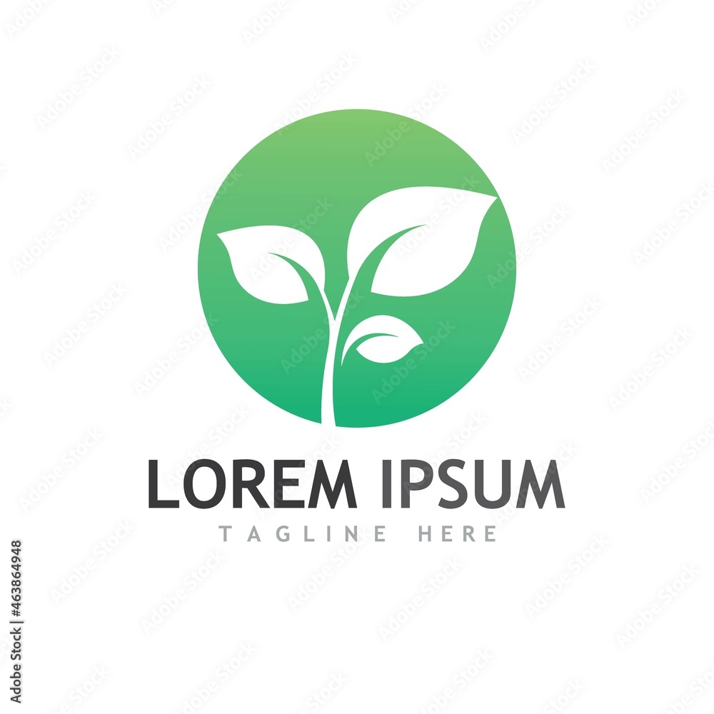 leaf logo and vector images leaf logo and vector images