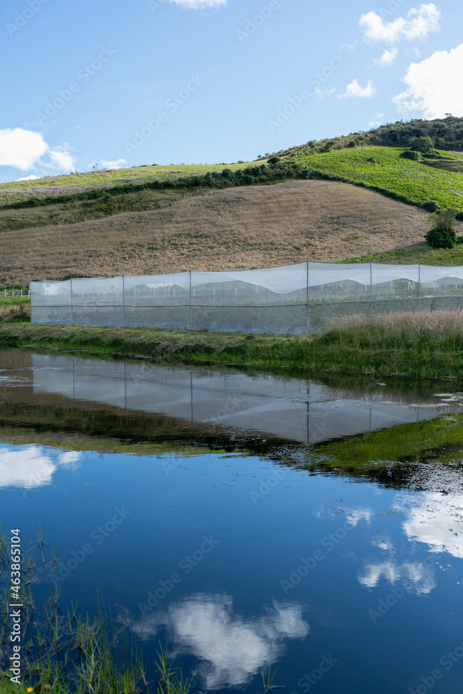 Bluish landscape in Tabio Cundinamarca Bluish landscape in Tabio Cundinamarca