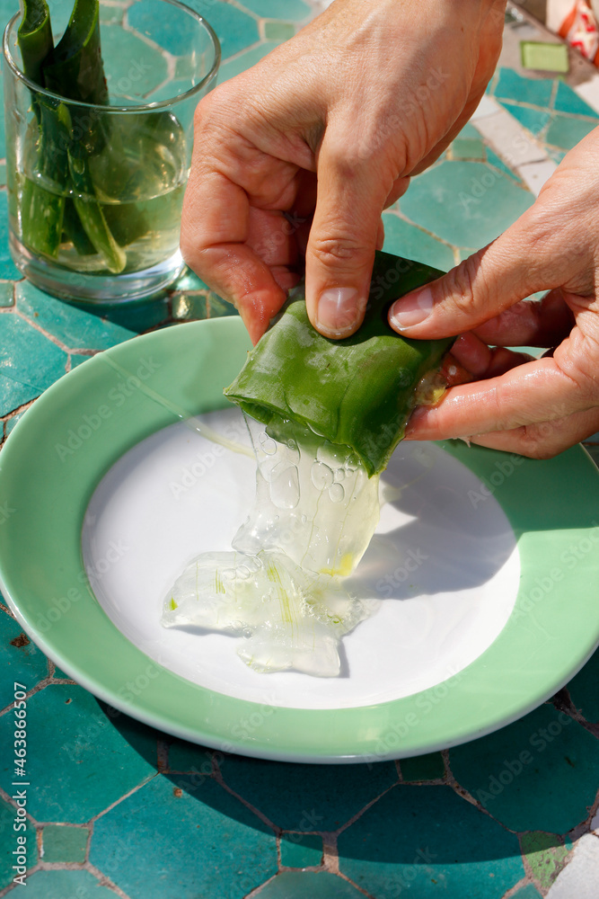 Aloe Vera Gelbe Spitzen