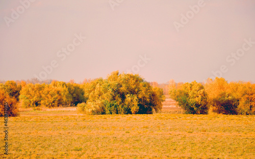 Золотая осень в пойме реки Волга