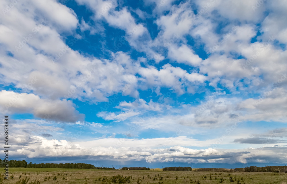 Field, grass and trees in summer against a blue sky with white clouds