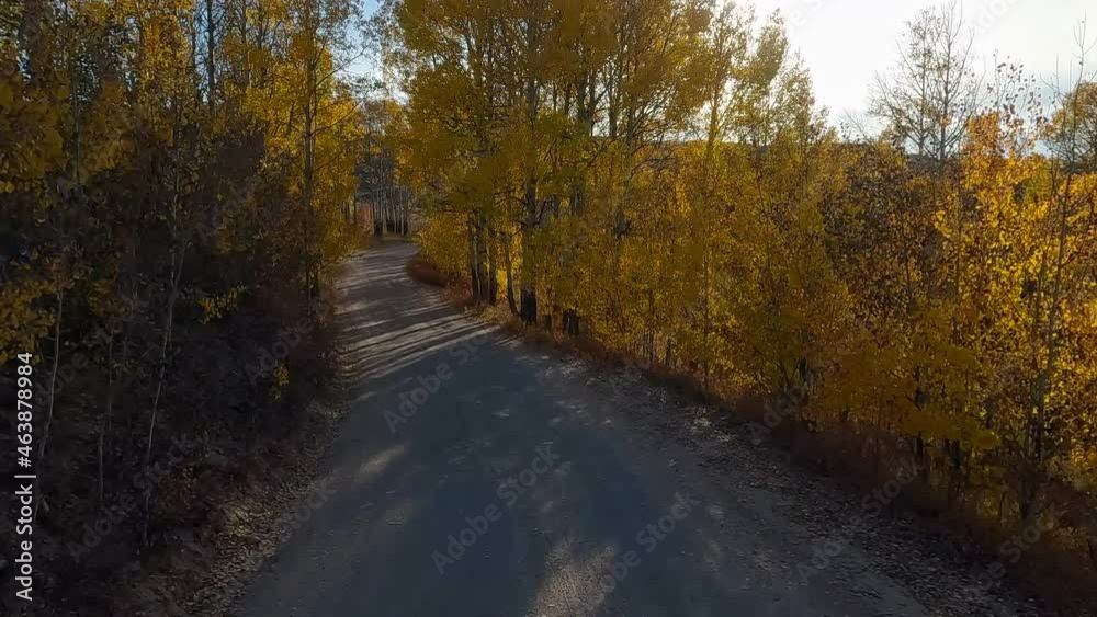 Driving on dirt road through Fall colors in Apsen tree forest in the Gross Ventre wilderness in Wyoming. Driving on dirt road through Fall colors in Apsen tree forest in the Gross Ventre wilderness in Wyoming.