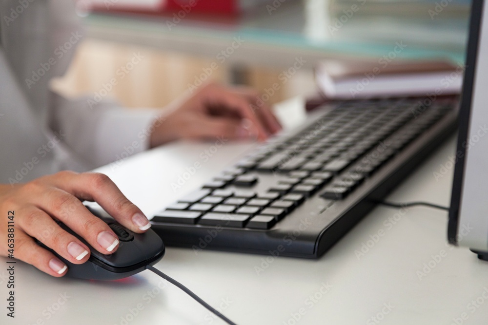 Closeup of Woman's Hand Using a Mouse Closeup of Woman's Hand Using a Mouse